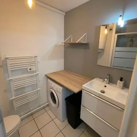 דירה Le Mineral ~ Centre ~ Cosy ~ 2p לה מאנש